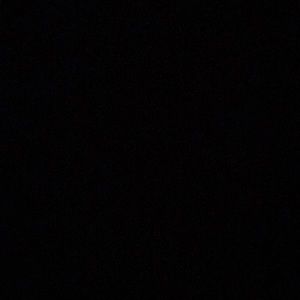 Meet your Posher, Rose